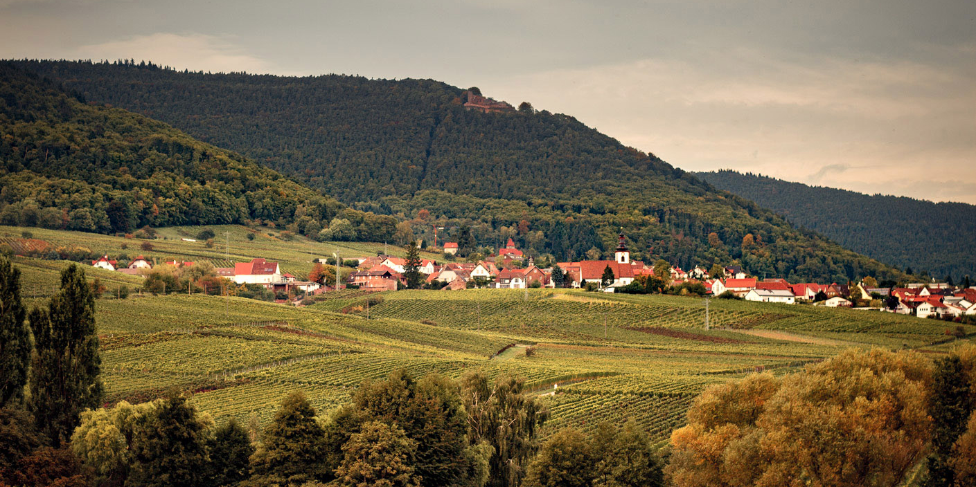 img_Urlaub_bei_uns_zu_Hause