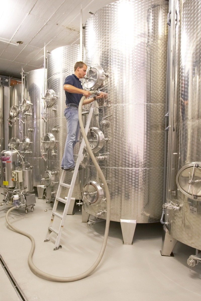 img_Kellerarbeit_Weingut_Graf_von_Weyher_Pfalz