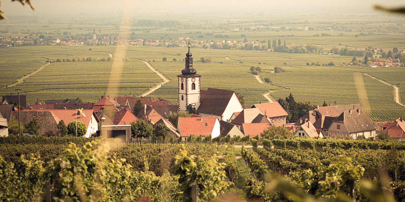 img_Weyher_in_der_Pfalz_Weingut_Graf-von-Weyher_Pfalz