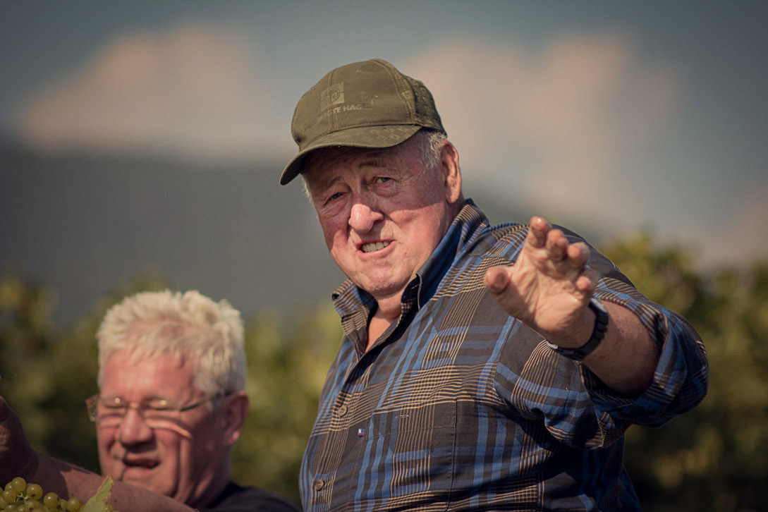 img_Onkel_Otto_Weingut_Graf-von-Weyher_Pfalz