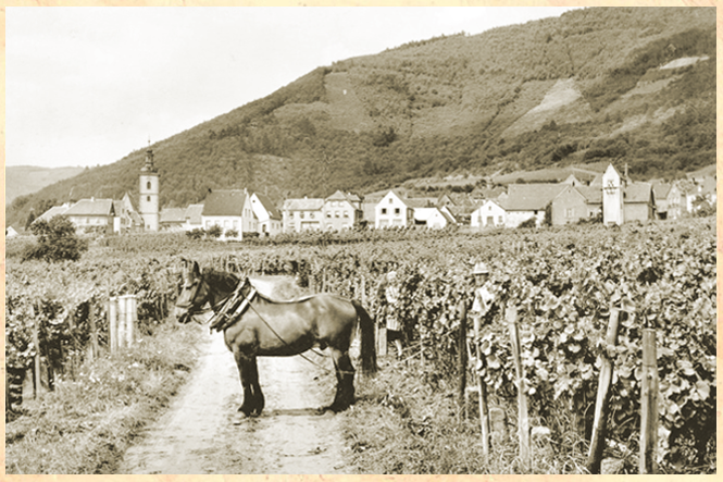omg_Postkarte_Weyher_1860_Graf-von_Weyher